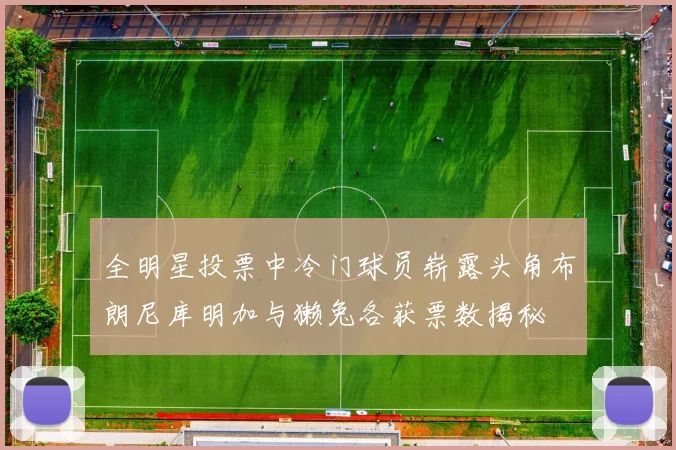 全明星投票中冷门球员崭露头角布朗尼库明加与獭兔各获票数揭秘