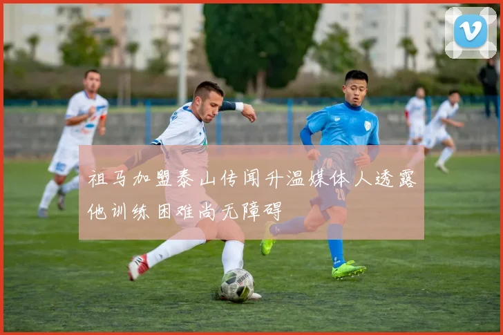 祖马加盟泰山传闻升温媒体人透露他训练困难尚无障碍