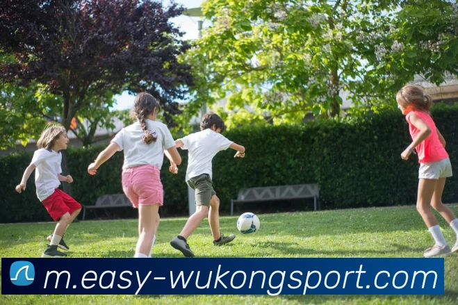 悟空体育品牌故事