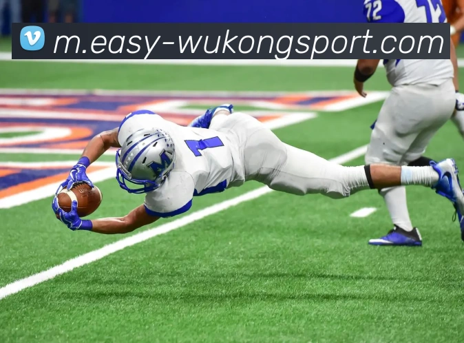 悟空体育服务体系